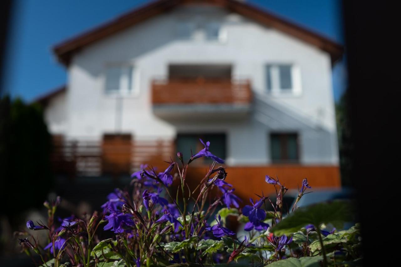Apartamenty Karkonosze Gory Izerskie Piechowice  Dış mekan fotoğraf